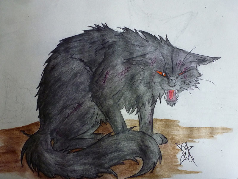 File:Greebo by kiddosnightmare-d5v057w.jpg